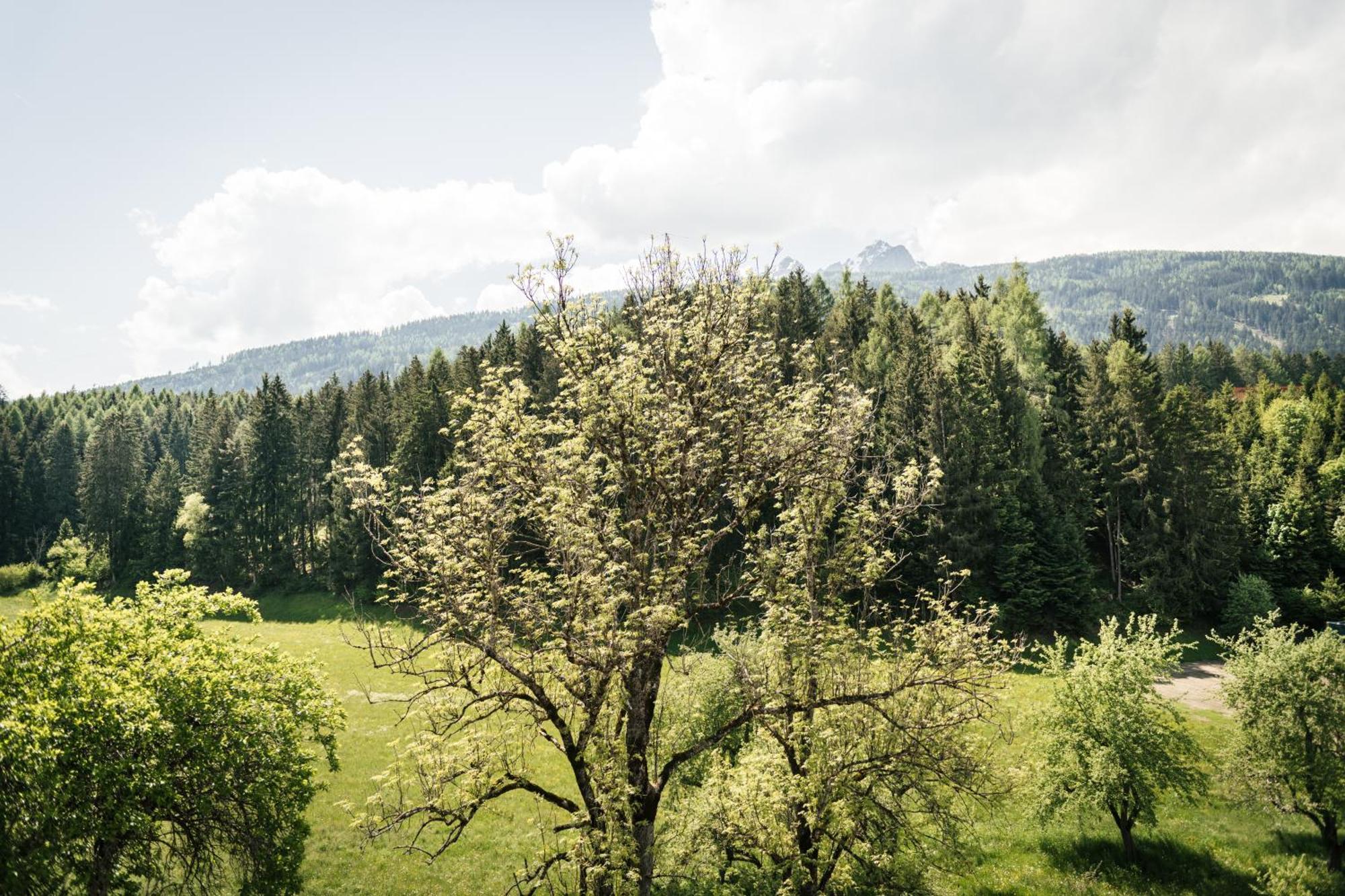Edenhauserhof Neu Gotzens エクステリア 写真